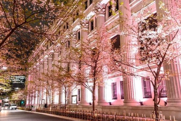 日本橋の桜フェスティバル2023、桜色ライトアップでお花見＆桜テーマの限定スイーツなど