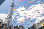 東京スカイツリータウンの2023年GWイベント、人気台湾グルメや約1,500匹のこいのぼり