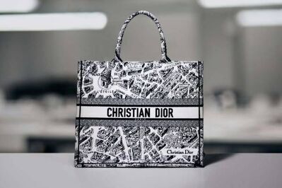 ディオール新作「プラン ドゥ パリ」“パリの街並み”描く「ディオール ブックトート」バッグなど