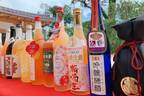 「全国梅酒まつり」JR博多駅前広場で、全国から集まる“154種類”の梅酒を飲み比べ