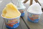 「アイスクリーム博覧会」埼玉・イオンレイクタウンで、“世界一のジェラート”＆国内外の限定アイス