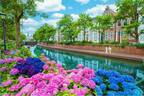 長崎・ハウステンボス「あじさい祭」ヨーロッパ風の街並み×色鮮やかな“あじさい”の絶景