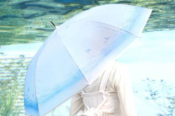 Wpc.×サンシャイン水族館“天空のペンギン”が雨傘に！羽ばたくペンギンをプリント