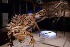 特別展「恐竜博2023」大阪・自然史博物館で、“ティラノサウルスの全身骨格”を世界初公開