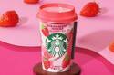 スターバックス新作チルドカップ「ストロベリーモカ」厳選コーヒー×チョコ風味に甘い苺の香り