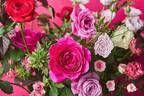 青山フラワーマーケット 南青山本店「青山バラ祭り」約100品種の“ピンクのバラ”が一堂に
