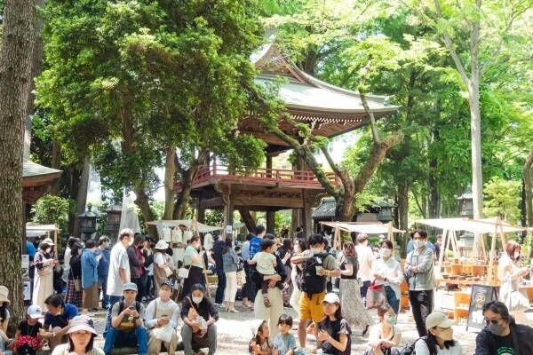 珈琲×音楽のイベント「珈琲参道 2023」東京狛江・泉龍寺で、“野外お茶会”も初登場