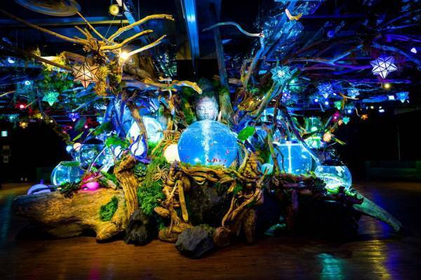 「奈良いきものミュージアム」オープン、アートな空間にカメレオンやウーパールーパーなど集結