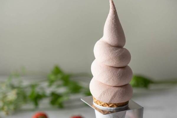 チャバティ“カモミール＆あまおう苺”のソフトクリーム、ハーブを丸ごと使用