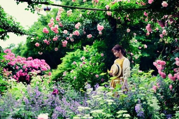 「神戸布引ハーブ園」ラベンダー＆ローズが咲き誇る初夏のフラワーイベント、花々に包まれる優雅な1日
