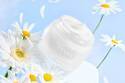 ファミュ2023年夏スキンケア、ひんやり「スリーピングマスク」デイジーエキス配合の新作