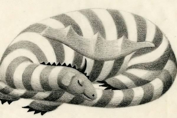 「エルマーのぼうけん」展が立川で日本初開催、約130点の原画＆冒険気分を味わえる体験型展示