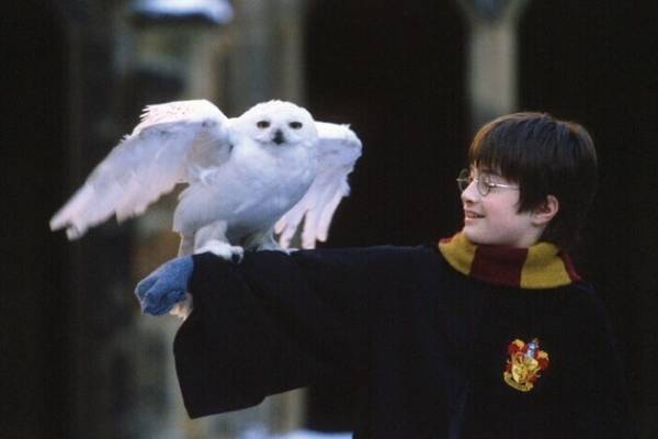 映画『ハリー・ポッターと賢者の石』全国4D劇場＆ドルビーシネマで、体感型鑑賞や高画質・高音質上映