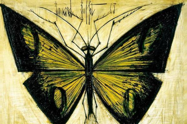 企画展「いきもののかたち」ベルナール・ビュフェ美術館で、ビュフェが描いた生き物の作品＆実物標本を展示