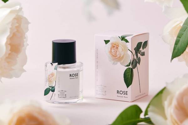 青山フラワーマーケット「花屋が作ったフレグランス」リニューアル、“咲き誇るバラそのものの香り”など