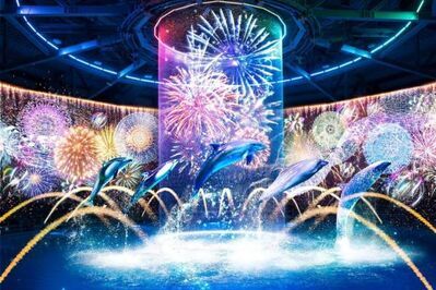 「ネイキッド 花火アクアリウム」マクセル アクアパーク品川で、鮮やかなデジタル花火＆縁日着想の水槽