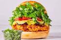 フレッシュネスバーガー“パクチー6倍”の限定ハンバーガー、トムヤムクン味＆グリーンカレー味