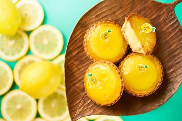 パブロミニ&quot;瀬戸内産レモン使用”のチーズタルト、甘酸っぱいジャムたっぷり＆サクサク食感