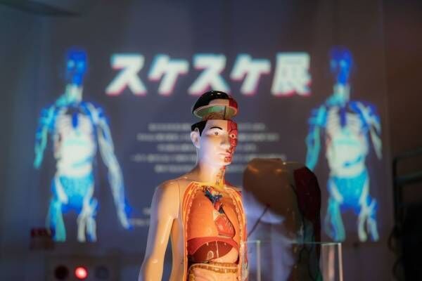 「スケスケ展 in TOKYO」東京ドームシティで、自分の体が“スケる”体験や“スケスケ生物”の展示