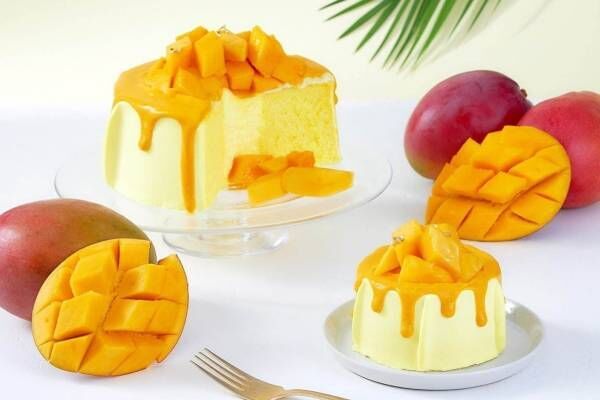 「マーサー ビス」“完熟マンゴー”の夏限定シフォンケーキ、しっとり＆もっちり生地にマンゴーの果肉