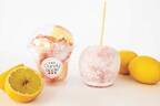 本格りんご飴「代官山キャンディーアップル」新作レモネード味、レモン＆ラムネの爽やかフレーバー