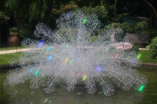 箱根ガラスの森美術館“約4万8千粒のクリスタルガラス”輝く「水上花火」7色ガラスのあじさいも