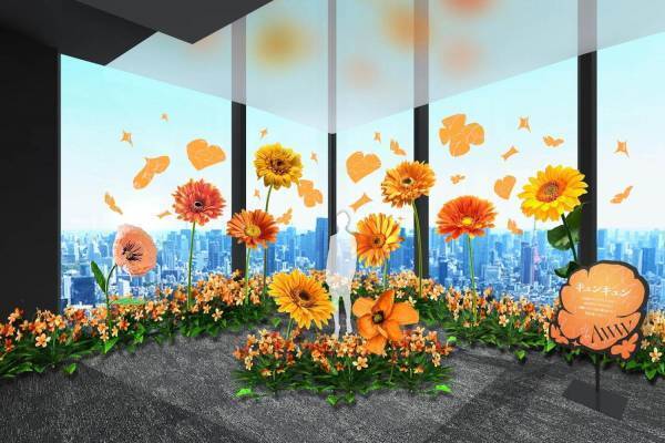 渋谷スクランブルスクエアの展望施設「渋谷スカイ」が天空の植物園に、多様な植物を展示する夏イベント