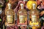 ゲラン「アクア アレゴリア」の香水に“ウッディノート”の新作、ユニセックスで楽しめる全3種