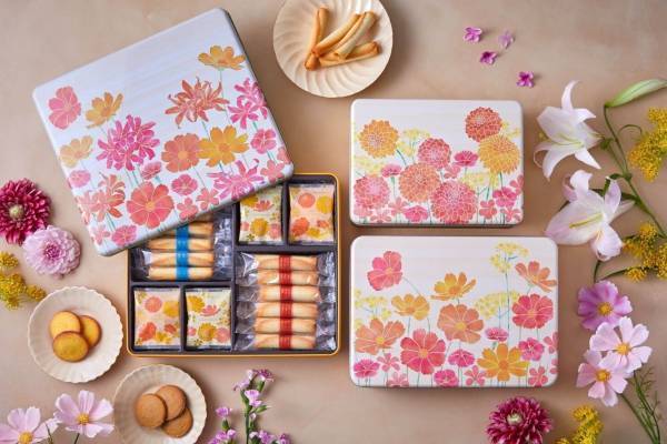 ヨックモック秋限定ギフトクッキー缶「カドー ドゥ ロートンヌ」栗やさつまいも風味のサクサクサブレ