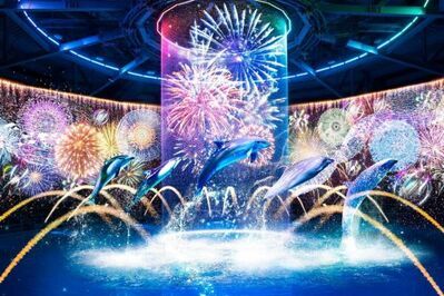 マクセル アクアパーク品川で「品川花火まつり」イルカと踊る盆踊りやデジタル花火のイルカショー