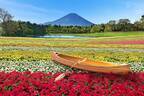 富士本栖リゾート「2023虹の花まつり」約9万株のカラフルな秋の花々を富士山と共に、フォトスポットも