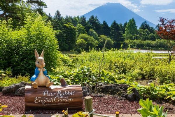 「ピーターラビット イングリッシュガーデン」“ピラミッド型のアジサイ”など秋の花々が見頃に