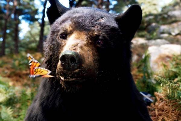 映画『コカイン・ベア』コカインを食べてしまったクマが森で大暴れ？！ウソのような実話を映画化