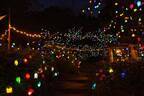 神戸・六甲山の夜間イベント「ひかりの森～夜の芸術散歩～」自然の中で楽しむ光のアート作品