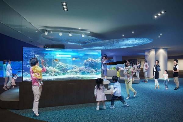すみだ水族館の新常設展示「オガサワラベース」大水槽と繋がる“小笠原諸島のいきもの”が集結するエリア