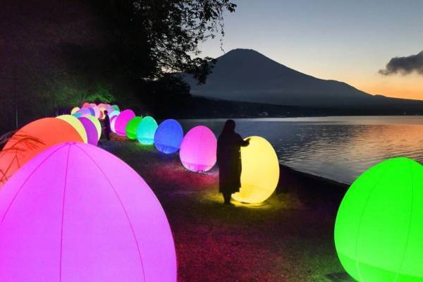 チームラボ“山中湖の湖畔”でアート展、湖畔に並ぶ“光のアート”や木々沿いを歩くデジタル肖像群