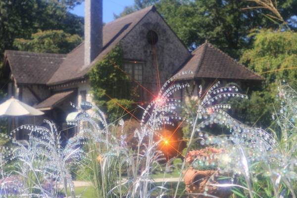 箱根ガラスの森美術館「クリスタルガラスのススキ」白銀色＆金色に輝く3万粒のガラスのススキ