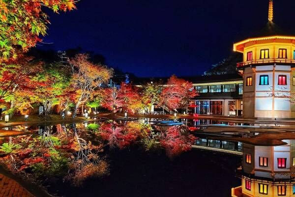 宮城・松島離宮「紅葉＆ライトアップ」イベント2023、庭園を彩る秋のモミジ観賞