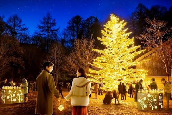 軽井沢星野エリア2023年クリスマス「やどりぎ」のイルミネーション＆高さ10mのクリスマスツリー
