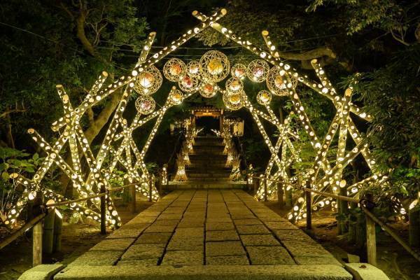 和のイルミネーション「HANAあかり」よみうりランド隣接HANA・BIYORIで夜のライトアップ