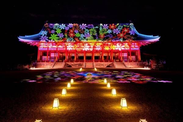 平安神宮奉納ライトアップ、“空を走る馬”の大極殿プロジェクションマッピング＆花が咲く光の演出