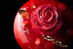 ジョエル・ロブション23年クリスマスケーキ、真っ赤なバラが咲くチョコムースケーキや雪ウサギのケーキ