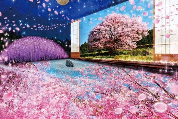 栃木・あしかがフラワーパークのイルミネーション「光の花の庭」輝く“大藤”や四季を表現した新スポット