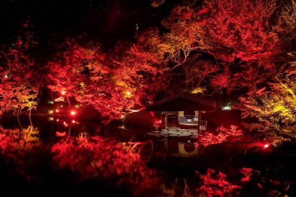 八芳園の秋イベント「トウキョウレッドガーデン」歴史ある日本庭園が赤一色に染まるライトアップ