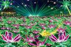 沖縄「美らヤシパークオキナワ・東南植物楽園」のイルミネーション、約400万球が沖縄らしい演出で点灯