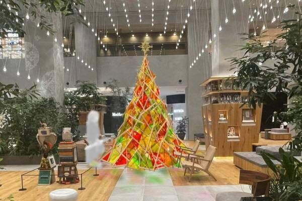 玉川高島屋の23年クリスマス、“温かな光”テーマの3色クリスマスツリー＆約30万球のイルミネーション