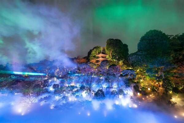 ホテル椿山荘東京、冬の庭園演出「森のオーロラと東京雲海」オーロラと雲海が作り出す幻想的な景色