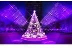 渋谷ミヤシタパークのクリスマスイルミネーション2023、“パープル”の光でライトアップ