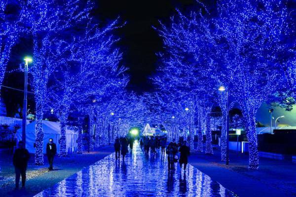 「青の洞窟 SHIBUYA」約77万球“青いイルミネーション”で彩る渋谷の街、クリスマスマーケットも