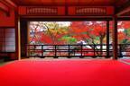 京都「柳谷観音 楊谷寺」の紅葉イベント、名勝庭園に臨む上書院の特別公開や夜間ライトアップ